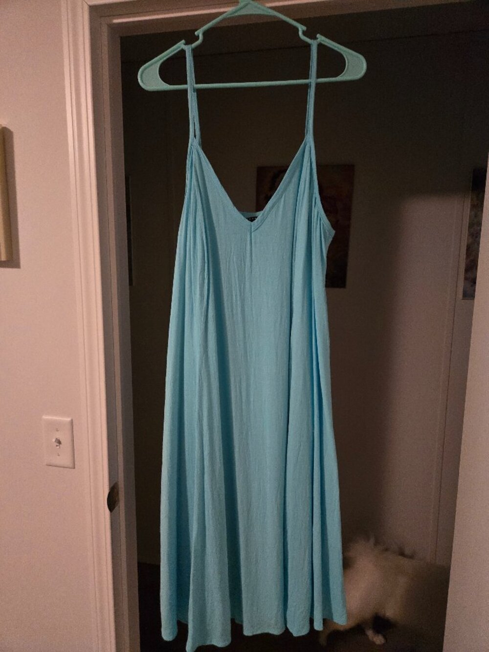 Torrid dress